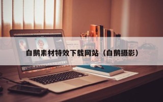 泰兴白鹅素材特效下载网站（白鹅摄影）